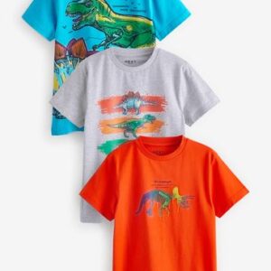 Next Boys 3pcs T- Shirts